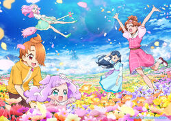 Pretty Cure All Stars F, Pretty Cure Wiki